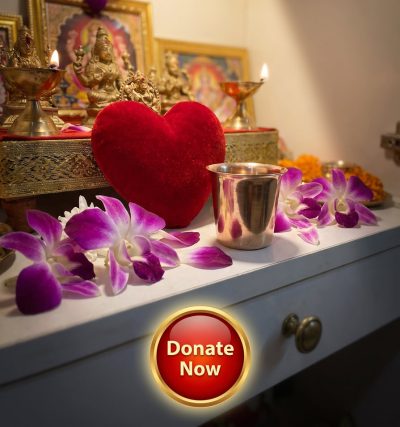 Donate Button